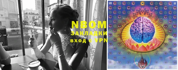 ешки Новодвинск