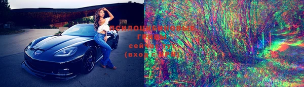 MDMA Новозыбков