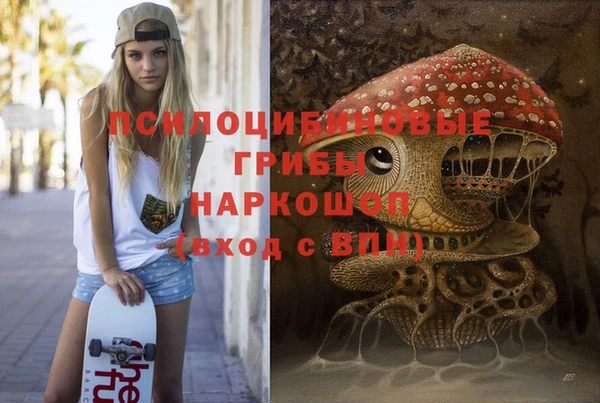 ешки Новодвинск
