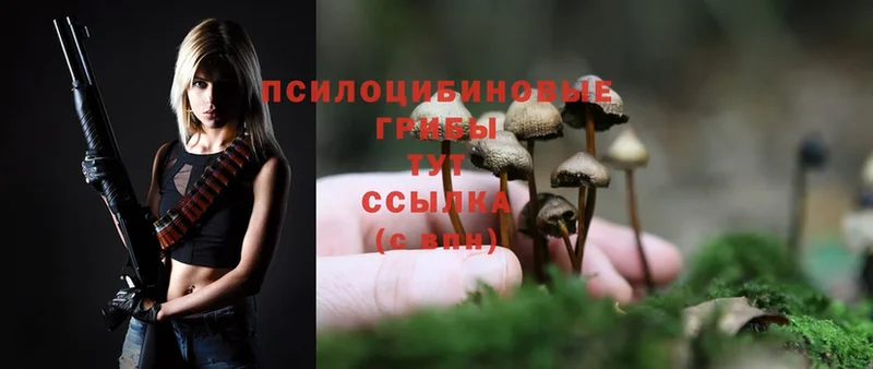 Псилоцибиновые грибы Magic Shrooms Мензелинск